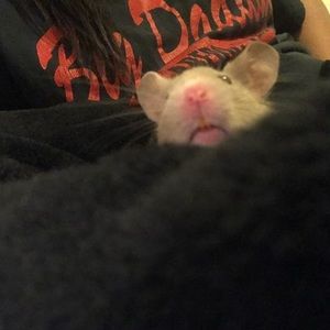 Meet your Posher, Kristina